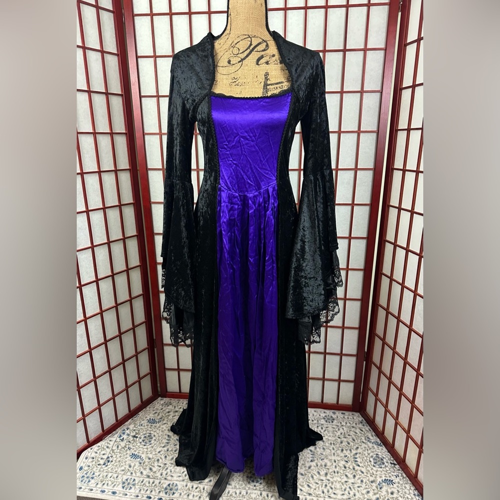 Vintage Lip Service Purple Black Velvet Gothic Renaissance Vampy Maxi Dress